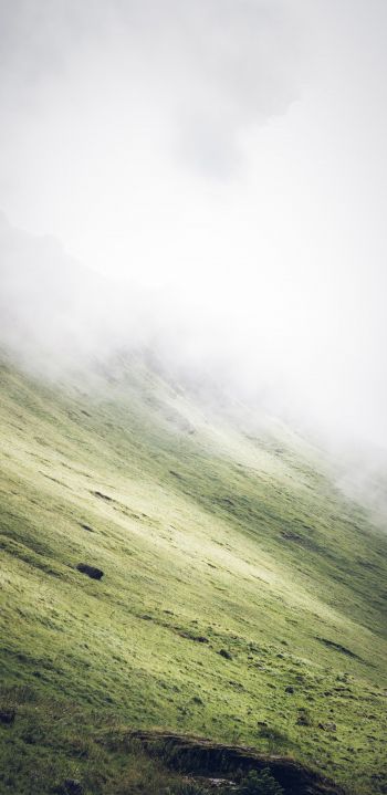 slope, fog Wallpaper 1080x2220