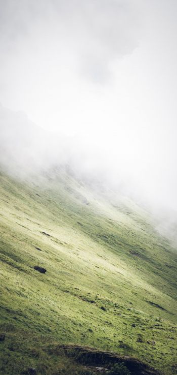 slope, fog Wallpaper 1080x2280
