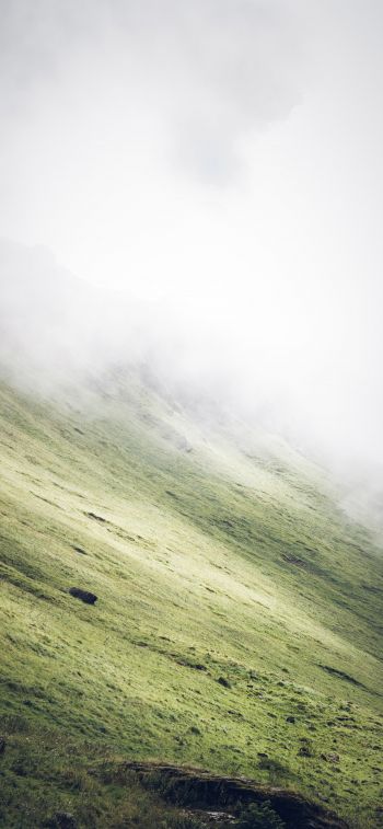 slope, fog Wallpaper 828x1792