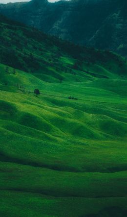 valley, hills Wallpaper 600x1024