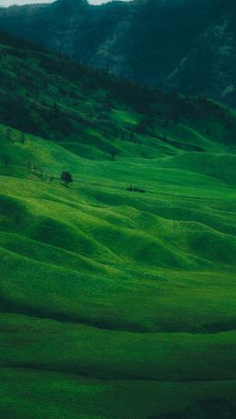 valley, hills Wallpaper 640x1136