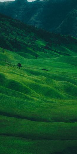 valley, hills Wallpaper 720x1440