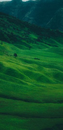 valley, hills Wallpaper 1080x2220