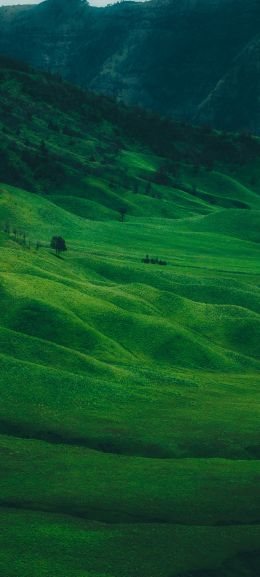 valley, hills Wallpaper 1080x2400