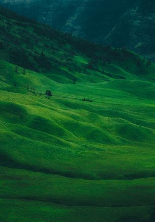 valley, hills Wallpaper 1668x2388