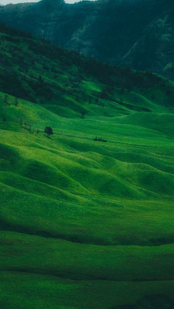 valley, hills Wallpaper 1440x2560