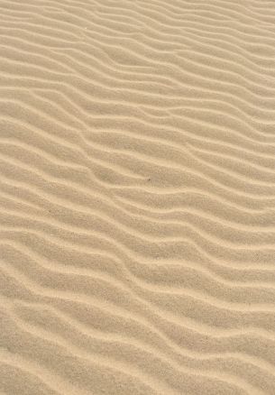 Обои 1640x2360 песок, пустыня, рельеф