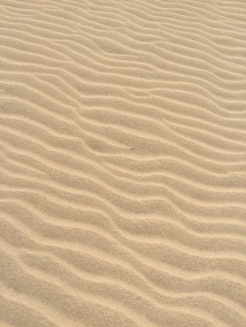 sand, desert, relief Wallpaper 2048x2732