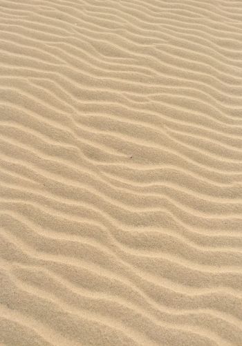 Обои 1668x2388 песок, пустыня, рельеф