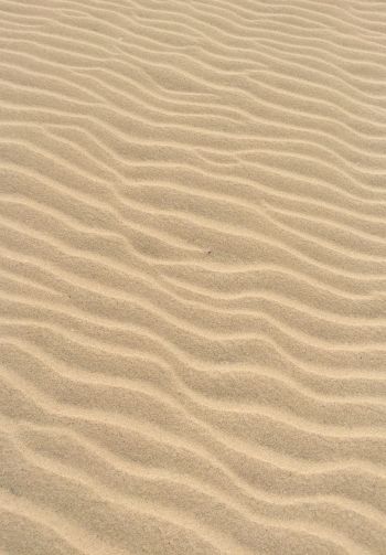 sand, desert, relief Wallpaper 1640x2360