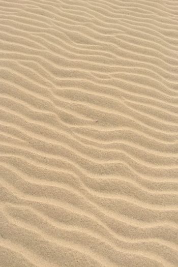 Обои 640x960 песок, пустыня, рельеф