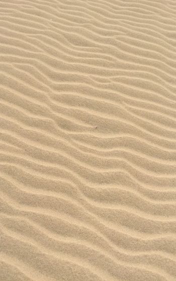 Обои 1752x2800 песок, пустыня, рельеф