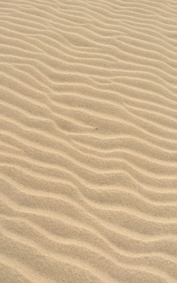 Обои 1600x2560 песок, пустыня, рельеф