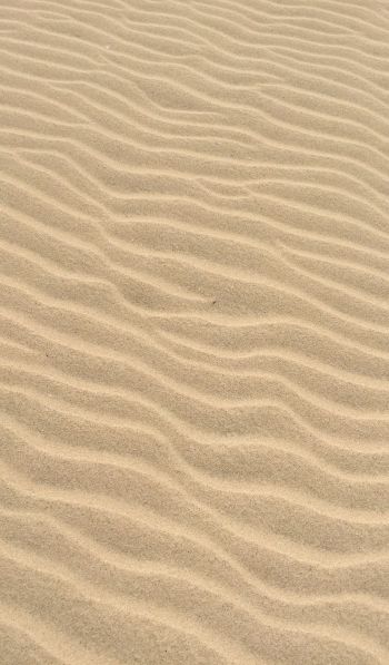 Обои 600x1024 песок, пустыня, рельеф