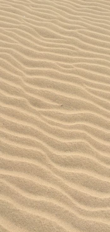 sand, desert, relief Wallpaper 1440x3040