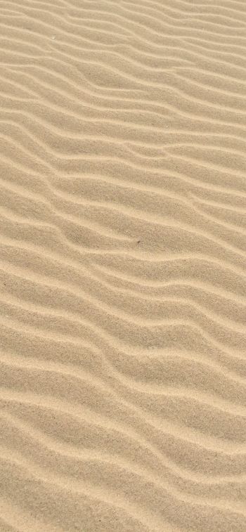 Обои 1284x2778 песок, пустыня, рельеф