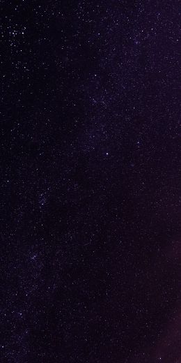 starry sky, night Wallpaper 720x1440