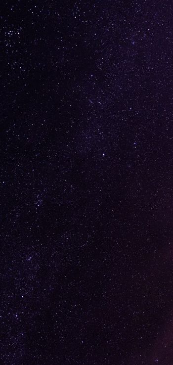 Обои 1440x3040 звездное небо, ночь
