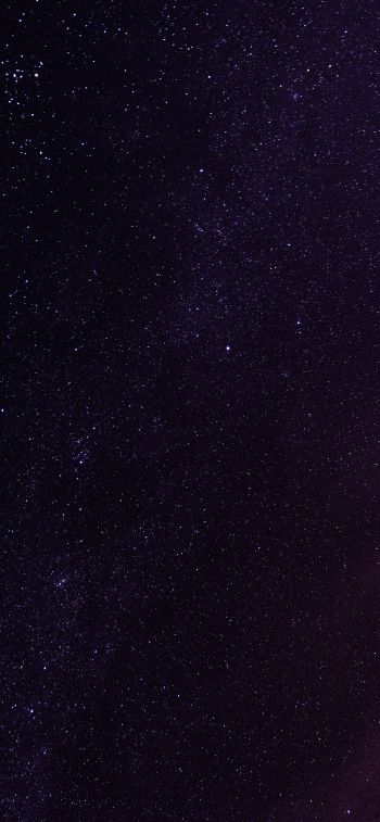 Обои 828x1792 звездное небо, ночь