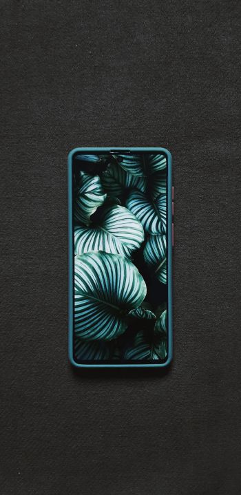 Samsung Galaxy Wallpaper 1440x2960