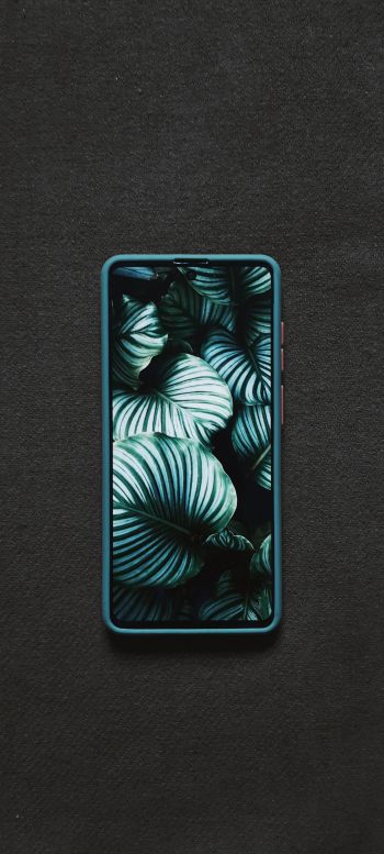 Samsung Galaxy Wallpaper 1440x3200