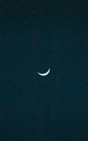 month, starry night Wallpaper 1752x2800