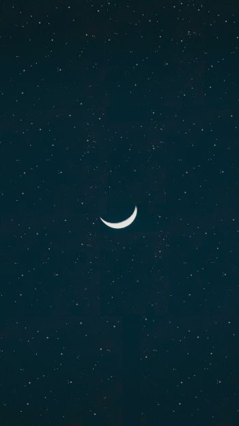 Обои 750x1334 месяц, звездная ночь