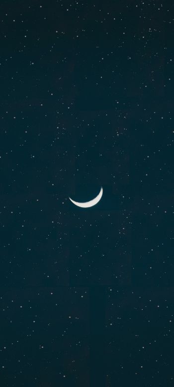 month, starry night Wallpaper 1440x3200