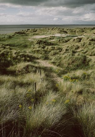 shore, grass, sky Wallpaper 1640x2360