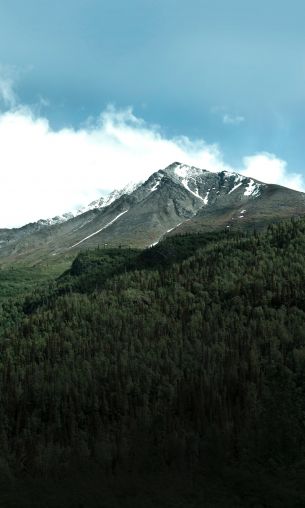 forest, mountains, sky, clouds Wallpaper 1200x2000