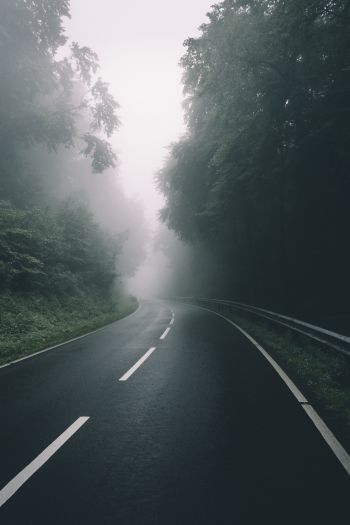 road, forest, fog Wallpaper 640x960