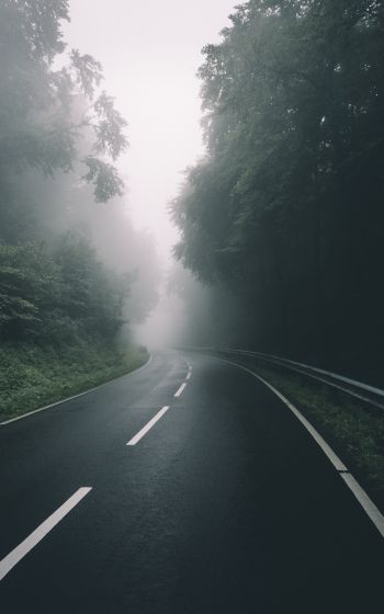 road, forest, fog Wallpaper 800x1280