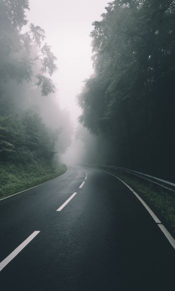 road, forest, fog Wallpaper 1200x2000