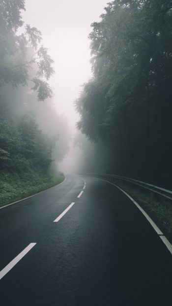 road, forest, fog Wallpaper 640x1136
