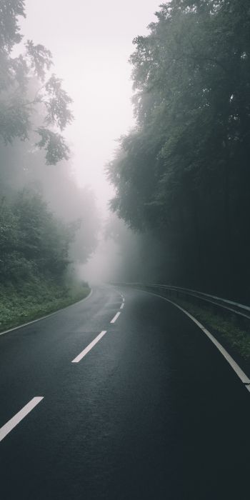 road, forest, fog Wallpaper 720x1440