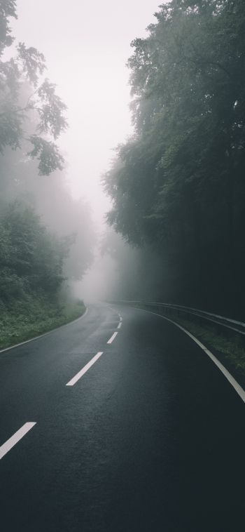 road, forest, fog Wallpaper 1080x2340