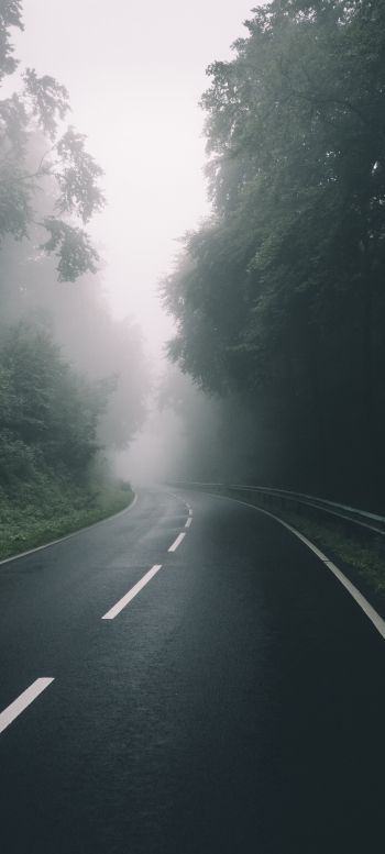 road, forest, fog Wallpaper 720x1600