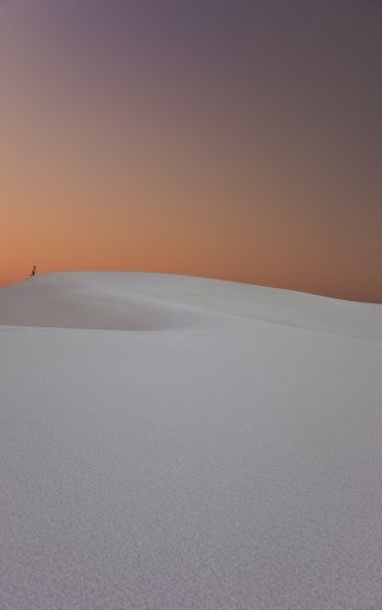 white sand, sand dunes Wallpaper 1752x2800