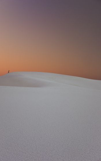 white sand, sand dunes Wallpaper 1600x2560