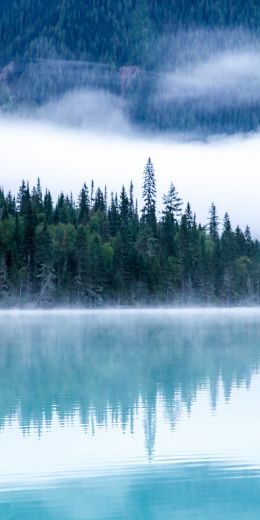 Kinney Lake, Canada, lake Wallpaper 720x1440