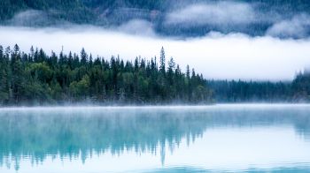 Kinney Lake, Canada, lake Wallpaper 1366x768