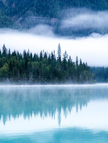 Kinney Lake, Canada, lake Wallpaper 1620x2160