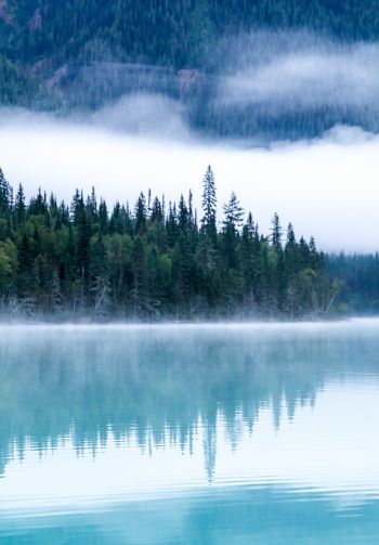 Kinney Lake, Canada, lake Wallpaper 1640x2360