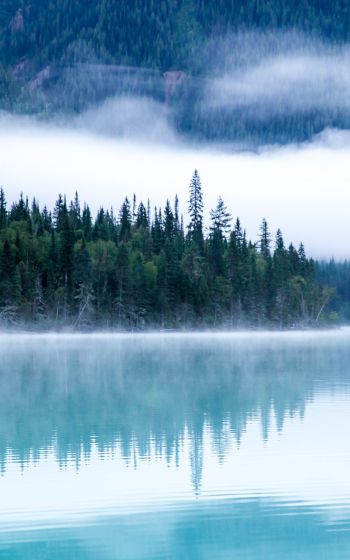 Kinney Lake, Canada, lake Wallpaper 1600x2560
