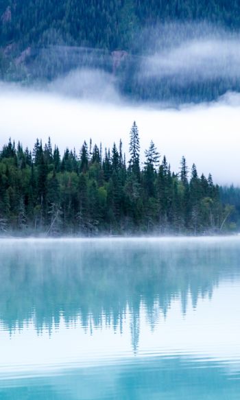 Kinney Lake, Canada, lake Wallpaper 1200x2000