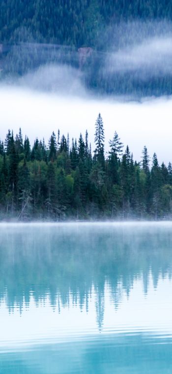 Kinney Lake, Canada, lake Wallpaper 1080x2340