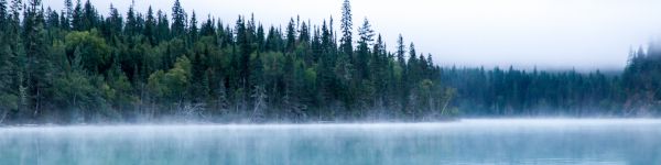 Kinney Lake, Canada, lake Wallpaper 1590x400