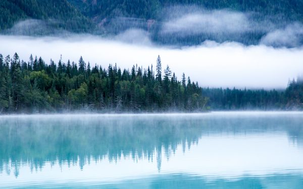 Kinney Lake, Canada, lake Wallpaper 1920x1200