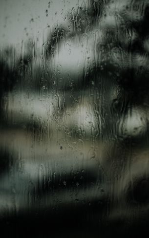 glass, rain drops Wallpaper 1752x2800