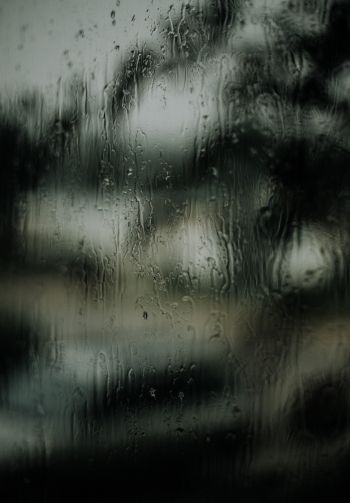 glass, rain drops Wallpaper 1640x2360
